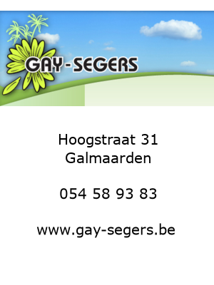 q-gaysegers